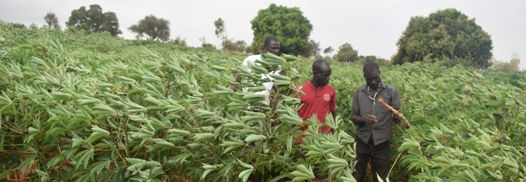 Development Management